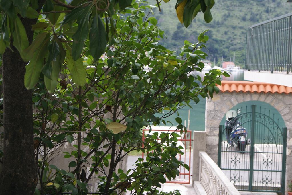 Apartment Kotor-Andrija Jovanovic Chambre photo